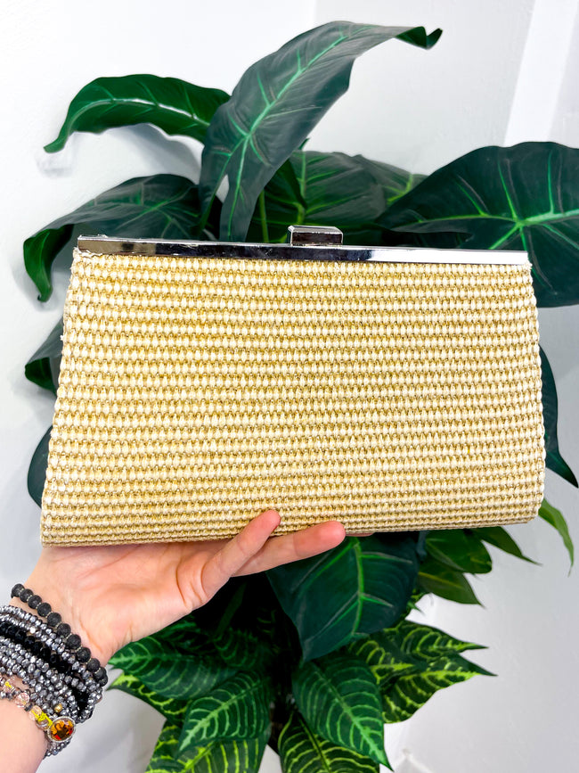 Pochette Emy BS